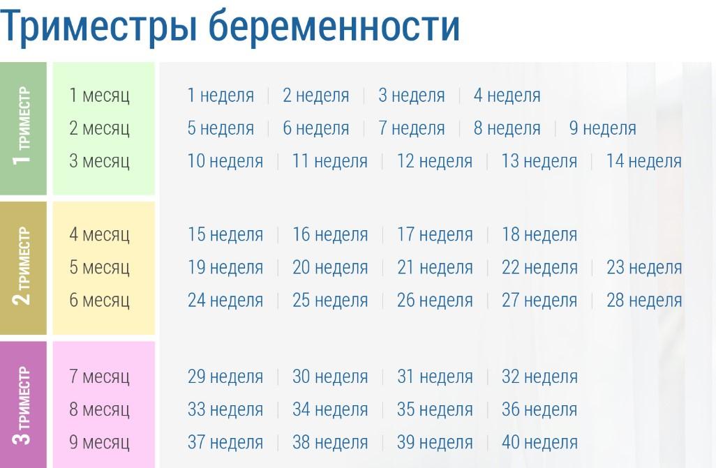 Первый второй третий триместр беременности